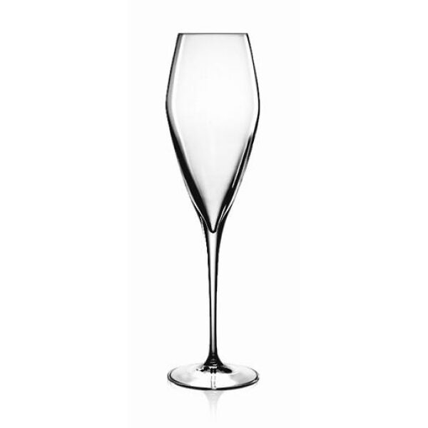 Atelier Champagneflute 27 cl C319 (set van 6) | HOFI Totaal | 509460